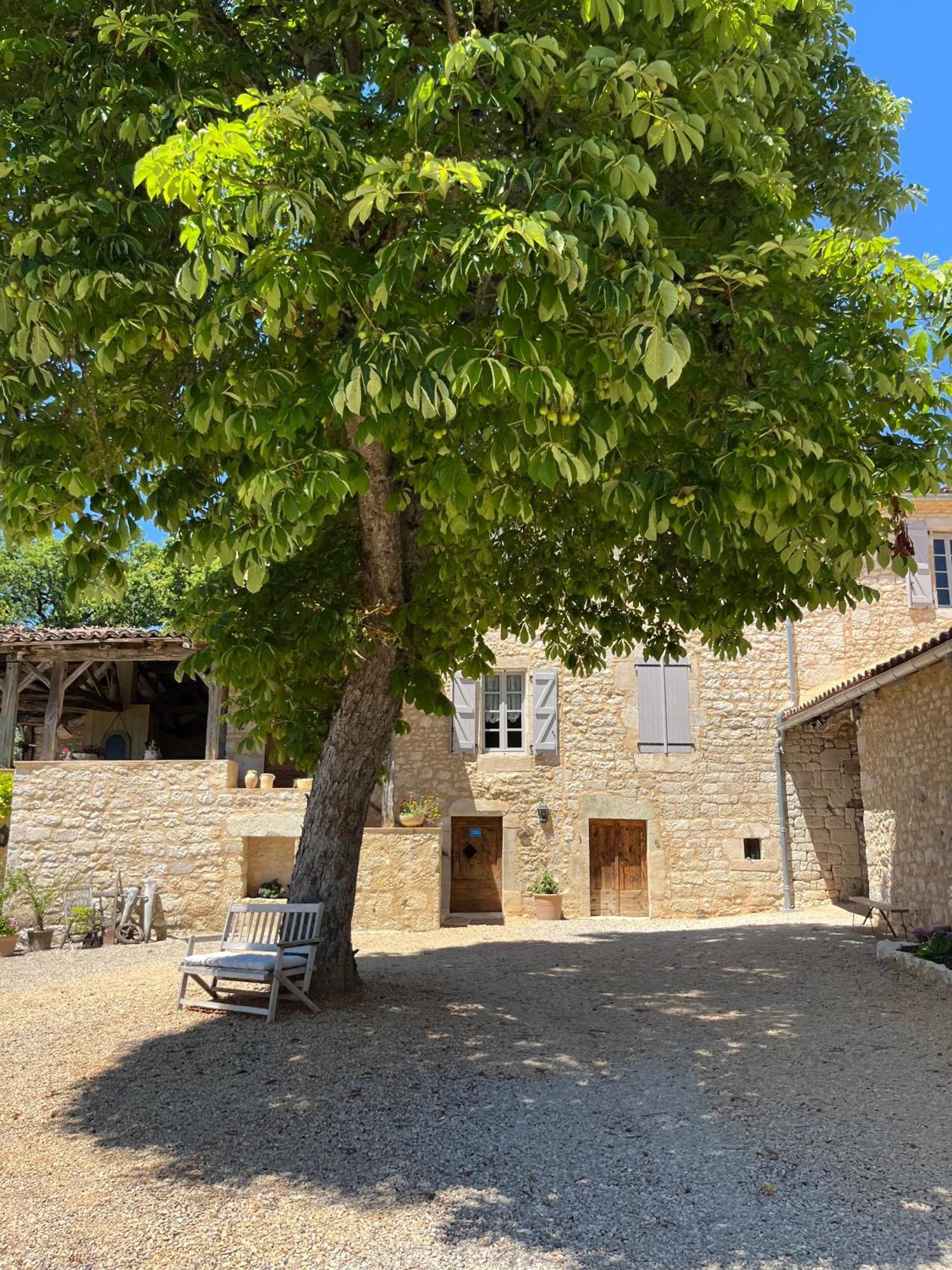 Maison D'hôtes De La Boissière Andillac Esterno foto